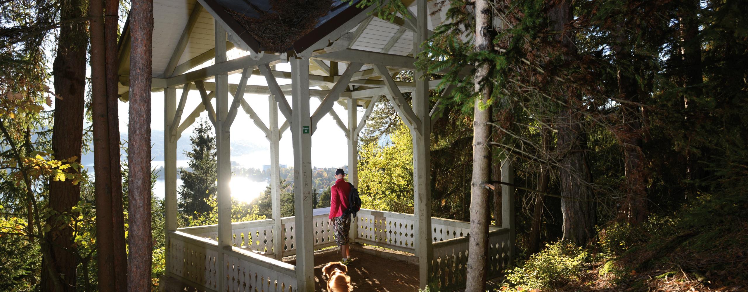 Aussichtspunkt - Karawankenblick KPH_9212