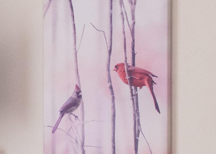 WUNDERs Ferienpension - Impressionen  morgentau_detail